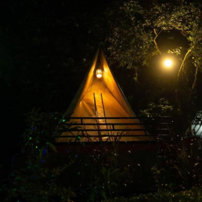 The woods inn